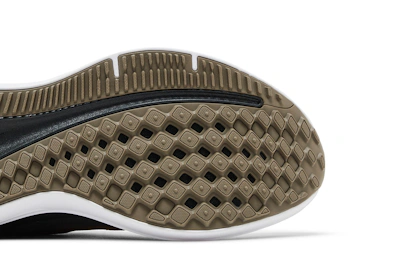 (Women) Nike Air Winflo 9 'Grey Metallic Copper' DD8686-005