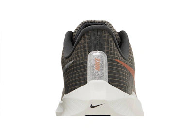 (Women) Nike Air Winflo 9 'Grey Metallic Copper' DH4072-007