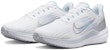 (W) Nike Air Winflo 9 'Putih Perak Metalik' DD8686-100