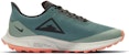 (W) Nike Air Zoom Pegasus 36 Trail GTX 'Bicoastal' Lelaki/Perempuan Kasut Lari BV7763-300