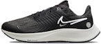 Buy (W) Nike Air Zoom Pegasus 38 Shield 'Hitam Platinum Tint' DC4074-001