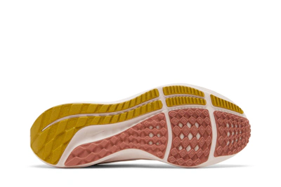 (Women) Nike Air Zoom Pegasus 39 'Whisper Madder Root' DH4072-501