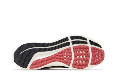 (Women) Nike Air Zoom Pegasus 40 'All Petals United' FN8919-191