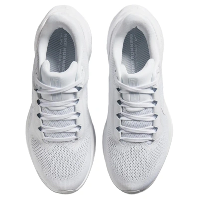 (Women) Nike Air Zoom Pegasus 41 'Pure Platinum' FD2723-102