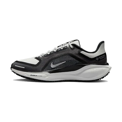 (W) Nike Air Zoom Pegasus 41 GORE-TEX 'Black Iron Grey'
