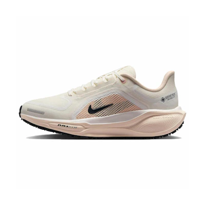 (W) Nike Air Zoom Pegasus 41 GORE-TEX 'Guava Ice'