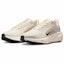 Lookbook (Women) Nike Air Zoom Pegasus 41 GORE-TEX 'Guava Ice' FQ1357-100