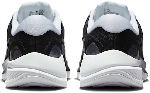 (W) Nike Air Zoom Structure 24 'Cebra Negra Iridiscente' DX9626-001 Purchase (W) Nike Air Zoom Structure 24 'Cebra Negra Iridiscente' DX9626-001