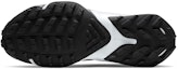 Details for (W) Nike Air Zoom Terra Kiger 7 'Hitam Pure Platinum' CW6066-002