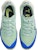 (W) Nike Air Zoom Terra Kiger 8 'Mint Foam Night Forest' dalam Bahasa Melayu. DH0654-301