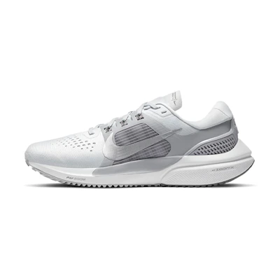 (W) Nike Air Zoom Vomero 15 'Pure Platinum Metallic Silver'