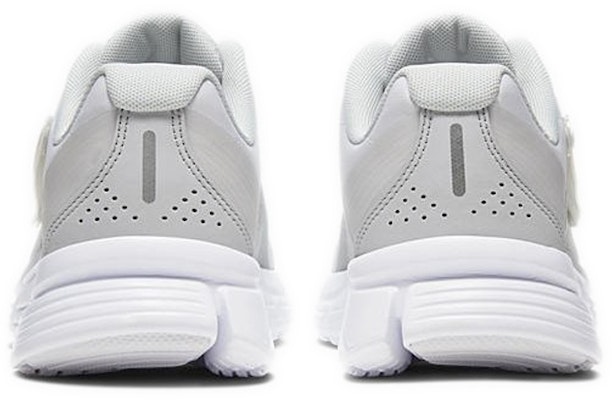 (W) Nike Alphina 5000 'Gris Vast' CK4330-101 Purchase (W) Nike Alphina 5000 'Gris Vast' CK4330-101