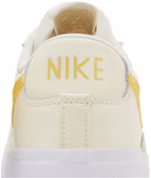Sizing Nike Blazer Low 耐磨透氣 低筒 板鞋 女款 米色