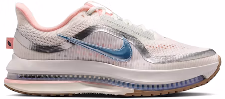 (Women) Nike Dick's x Nike Wmns Pegasus Premium 'Now And Then' IV5669-121