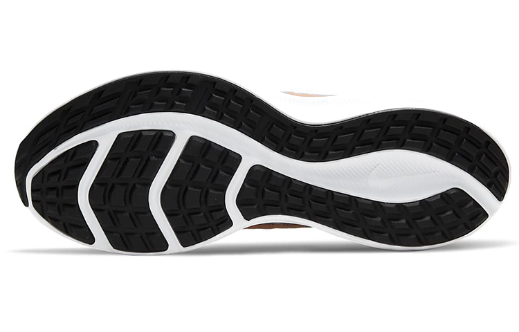 Details for (W) Nike Downshifter 10 ''Violet Clair Métallique Cuivre'' CI9984-501