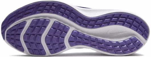Details for (Women) Nike Downshifter 11 'Black Dark Iris' CW3413-009