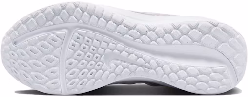 Sizing (Women) Nike Downshifter 13 'Platinum Violet' FD6476-007