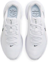 Shop (W) Nike Downshifter 14 Laufschuhe Weiß/Platin-Tint/Anthrazit/Schwarz IB1899-101