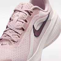 Sizing (Women) Nike Downshifter 14 SE Silt Red/Particle Rose/Phantom/Tattoo IR1524-600
