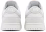 Details for (Women) Nike Dunk Low 'Photon Dust Summit White' HJ5777-100