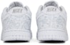 Details for (W) Nike Dunk Low 'Paisley Blanco' DJ9955-100