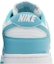 Sizing (W) Nike Dunk Low Next Nature 'Dusty Cactus' DD1873-105