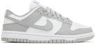 Buy (Women) Nike Dunk Low Next Nature 'Light Smoke Grey' DD1873-113