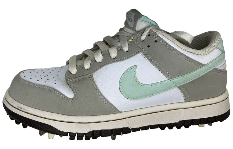 (Women) Nike Dunk NG Golf Wide 'White Mint' 484326-100