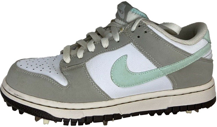 women-nike-dunk-ng-golf-wide-white-mint-484326-100