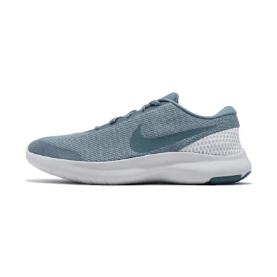 (W) Nike Flex Experience RN 7 'Celestial Teal'