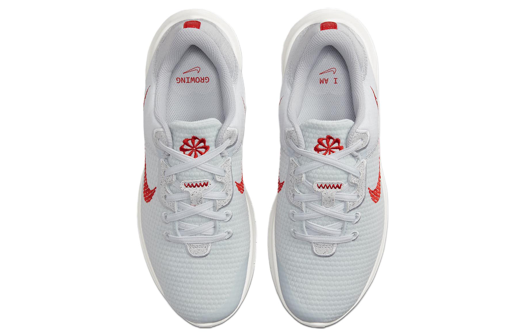 Shop (W) Nike Flex Experience Run 11 Next Nature Wide ''Platine Pure Rouge Clair'' DH8254-007
