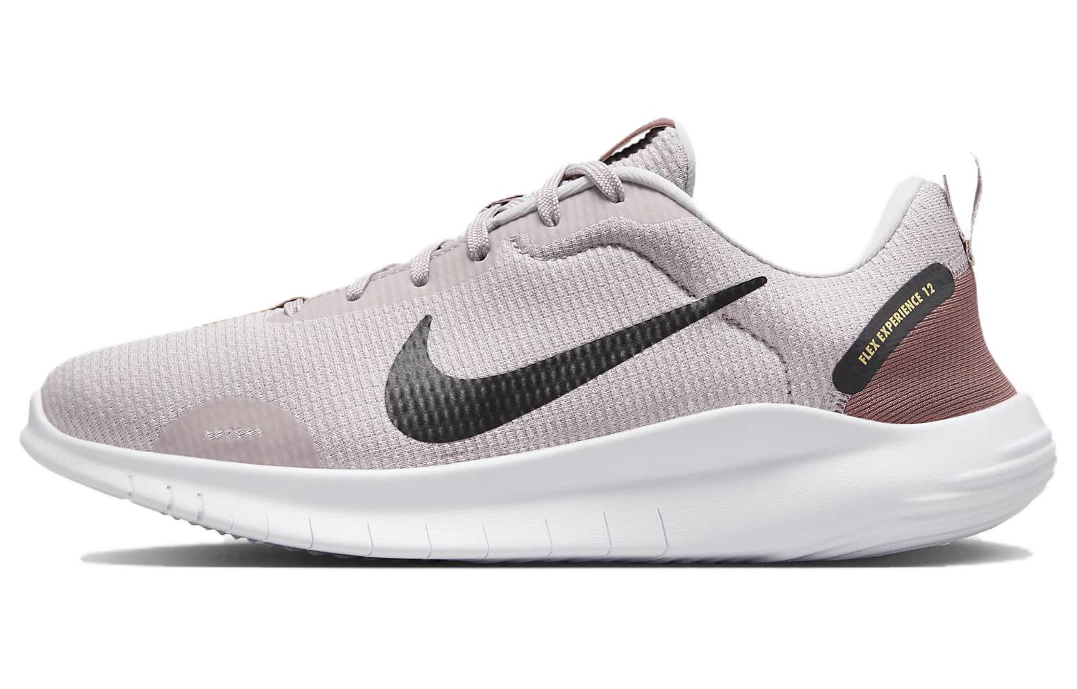 (Women) Nike Flex Experience Run 12 'Platinum Violet' DV0746-001