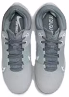 Shop (W) Nike Hyperdiamond 4 Elite 'Kelabu Serigala Putih' CZ5917-012