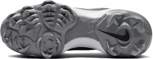 Details for (W) Nike Hyperdiamond 4 Pro MCS 'Hitam Cool Grey' DC8990-001