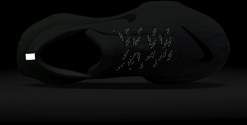 (W) Nike Invincible 3 'Platina Murni Dingin' DR2660-009 1