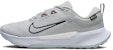 (W) Nike Juniper Trail 2 GORE-TEX 'Kelabu Asap Ringan' FB2065-005