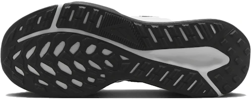 Sizing (W) Nike Juniper Trail 2 Next Nature 'Hitam Putih' DM0821-001