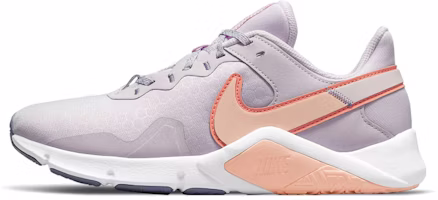(Women) Nike Legend Essential 2 'Venice Crimson Bliss' CQ9545-500 (Women) Nike Legend Essential 2 'Venice Crimson Bliss' CQ9545-500