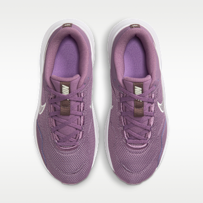 Shop (W) Nike Legend Essential 3 Next Nature Violet Dust/Plum Eclipse/Coklat/Sail DM1119-500
