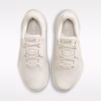 Shop (W) Nike Metcon 10 Coklat Muda/Orewood/Phantom/Sail/Perak Metalik HQ2620-102