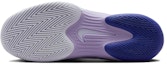 Details for (Women) Nike NikeCourt Air Zoom Vapor 12 HC 'Hydrangeas' FV5554-500