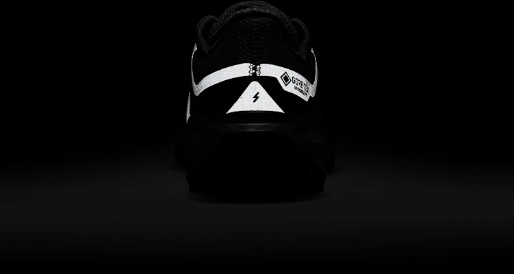 (W) Nike Pegasus 41 GORE-TEX 男女鞋「黑褐石黑」 FQ1357-001 3