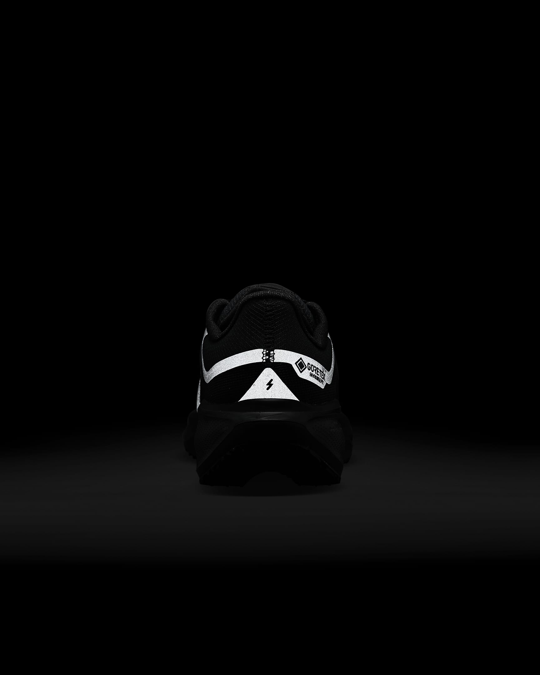 (W) Nike Pegasus 41 GORE-TEX 'Black Anthracite Black' 圖 10