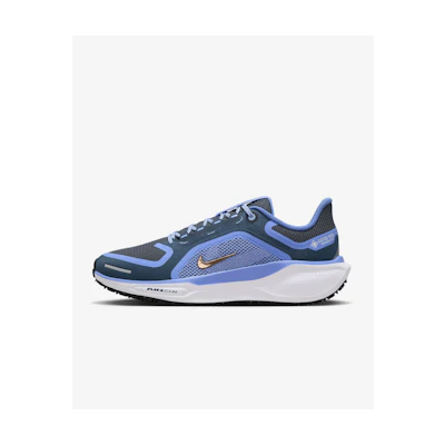 (W) Nike Pegasus 41 GORE-TEX 'Cobalt Bliss Armorry'