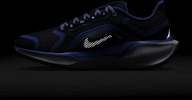 (W) ナイキ ペガサス 41 GORE-TEX 'コバルト ブリス アーモリー' FQ1357-400 3