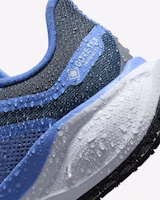 (W) ナイキ ペガサス 41 GORE-TEX 'コバルト ブリス アーモリー' FQ1357-400 4