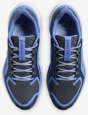 (W) Nike Pegasus 41 GORE-TEX 'Cobalt Bliss Armorry' - Sepatu Lari Kalis Air Terbaru FQ1357-400 Shop (W) Nike Pegasus 41 GORE-TEX 'Cobalt Bliss Armorry' - Sepatu Lari Kalis Air Terbaru FQ1357-400