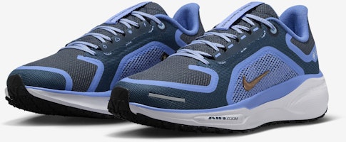 (W) ナイキ ペガサス 41 GORE-TEX 'コバルト ブリス アーモリー' FQ1357-400 Purchase (W) ナイキ ペガサス 41 GORE-TEX 'コバルト ブリス アーモリー' FQ1357-400