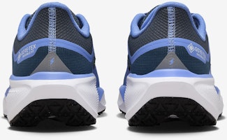 (W) ナイキ ペガサス 41 GORE-TEX 'コバルト ブリス アーモリー' FQ1357-400 Details for (W) ナイキ ペガサス 41 GORE-TEX 'コバルト ブリス アーモリー' FQ1357-400