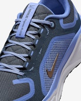 (W) ナイキ ペガサス 41 GORE-TEX 'コバルト ブリス アーモリー' FQ1357-400 Sizing (W) ナイキ ペガサス 41 GORE-TEX 'コバルト ブリス アーモリー' FQ1357-400